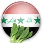 المطبخ العراقي android application logo